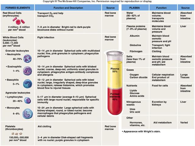Composition of blood When blood transferred to a test tube and is prevented from clotting, it forms two layers.