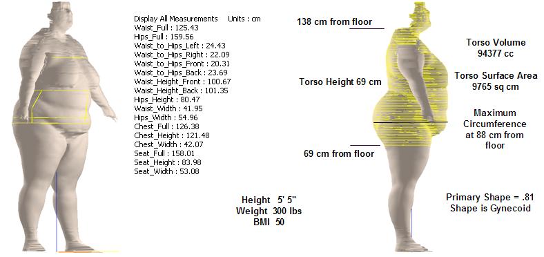 A scanner measurement profile was created that partitioned the torso into 1 cm segments.