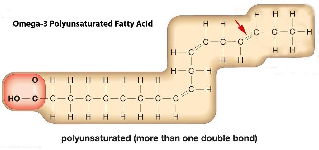 Biological Molecules: Lipids: Polyunsaturated Omega-3 Fatty Acids These raise HDL levels, guard against blood clot formation, reduce fat levels generally in the bloodstream, and reduce the growth of