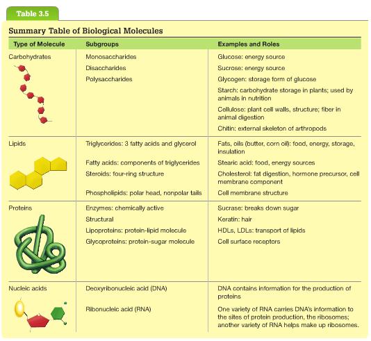 Biological Molecules: