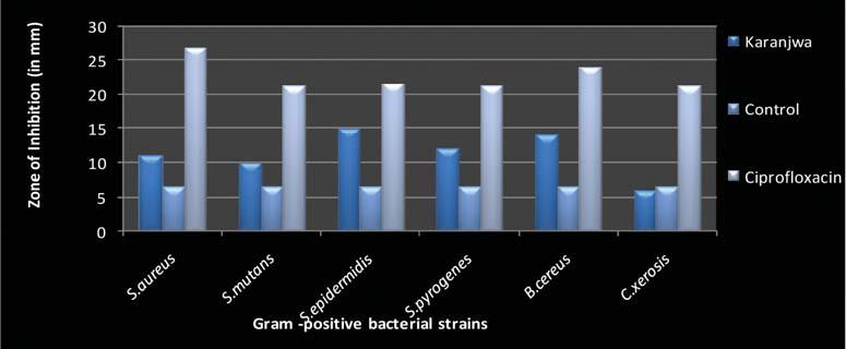 107 Figure 2: Antibacterial activity of Karanjwa extracts against Gram positive strains Figure 3: Antibacterial activity of Karanjwa extracts against Gram negative strains fulfill this promise to a