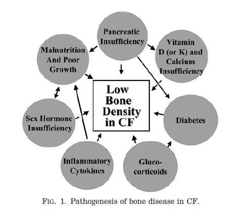 CFBD Pathogenesis multifactorial Decreased osteoblastic and increased osteoclastic activity Even when clinically stable?