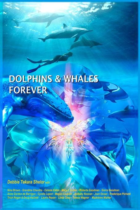 stories of dolphin and whale encounters that changed their lives forever.