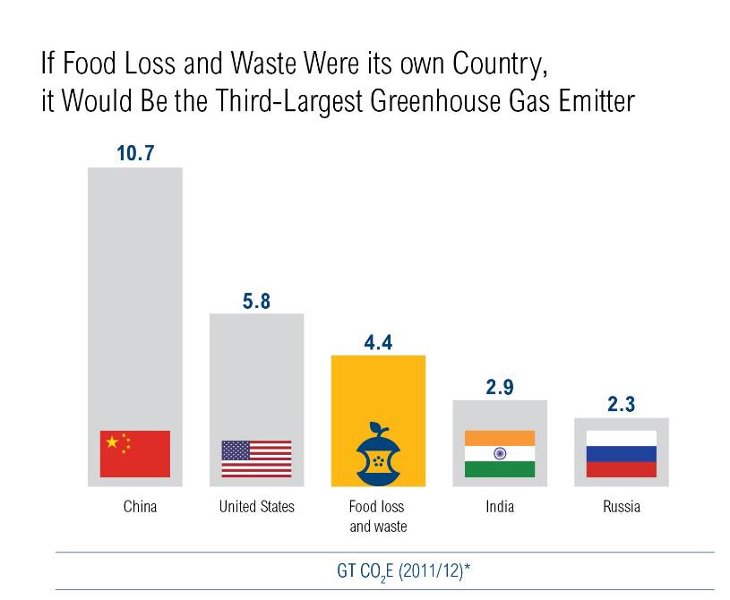 Final thought #2 the food we waste