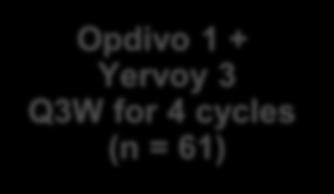 first-line platinum-based regimen Opdivo 3 Q2W (n = 98) Opdivo 1 + Yervoy 3 Q3W