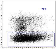 from three WT patients by qrt-pcr.