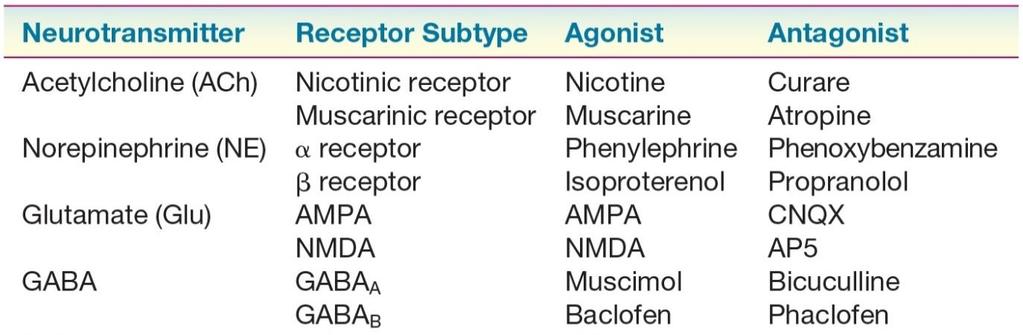 neurotransmitter. Receptor subtypes are named based on their agonists (e.g., nicotinic or muscarinic acetylcholine receptors).