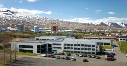 Region in transition During the 20 th century Akureyri was termed the manufacturing town of Iceland Major changes in the local economy stem from the establishment of the