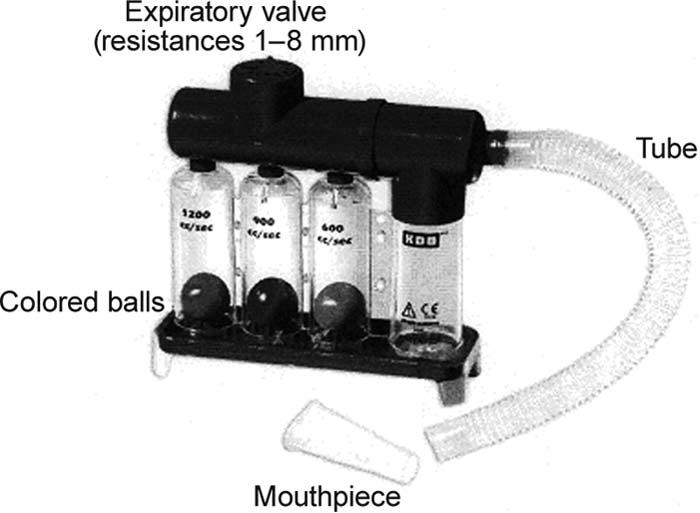 Fig. 1. The Tri-Gym handheld device. intervention on spirometry measurements for each subject on both techniques. The physiotherapy sessions did not require changes in medication or life style.