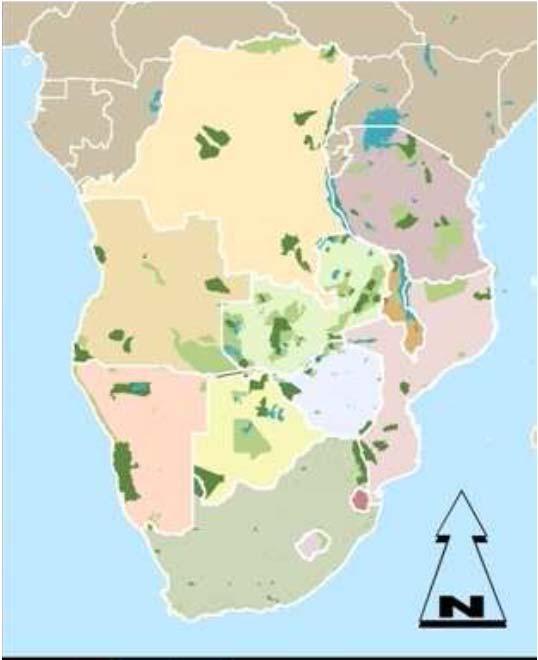 Potential impact on FMD control by Transfrontier Conservation Areas, wildlife The establishment of TFCAs Pressure to remove fences Human encroachment into wildlife areas