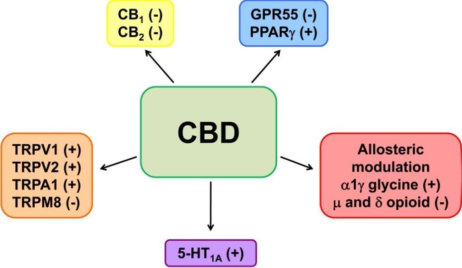 CBD pharmacology (1) *Indirect effects Campos et