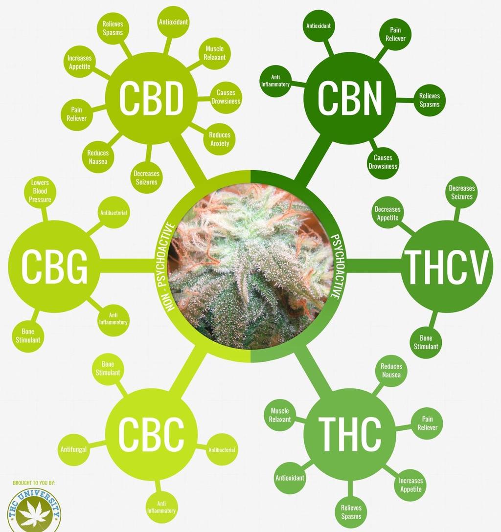Cannabidiol Plant-derived Cannabinoids ~ 100 different types in Cannabis Cannabinol