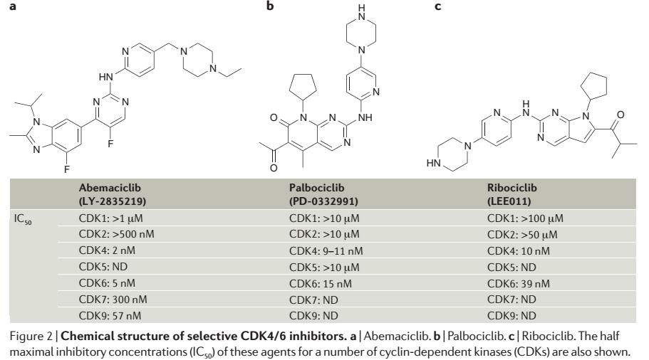 CDK4/6 Inhibitors O Leary