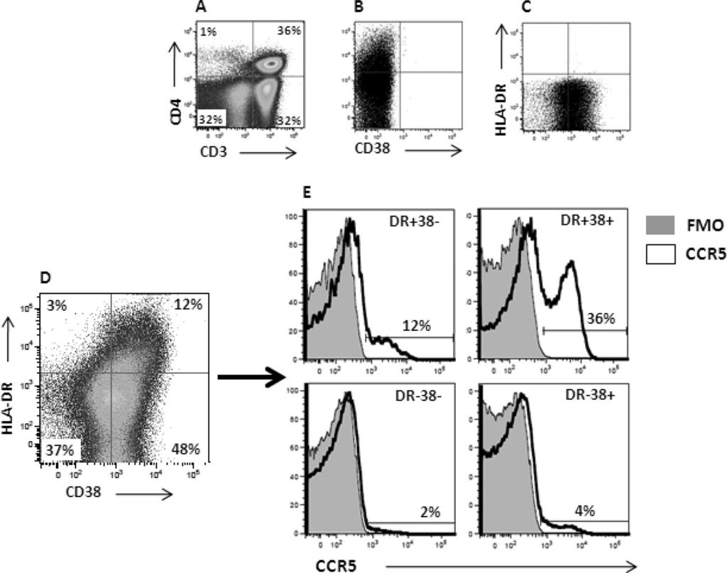 VOL. 85, 2011 ACTIVATED T CELLS HARBOR THE MAJORITY OF HIV RNA 10195 FIG. 5. Representative flow cytometry plots of lymph node cells.