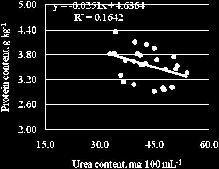 Relationship between average individual cow milk protein and urea content during research.