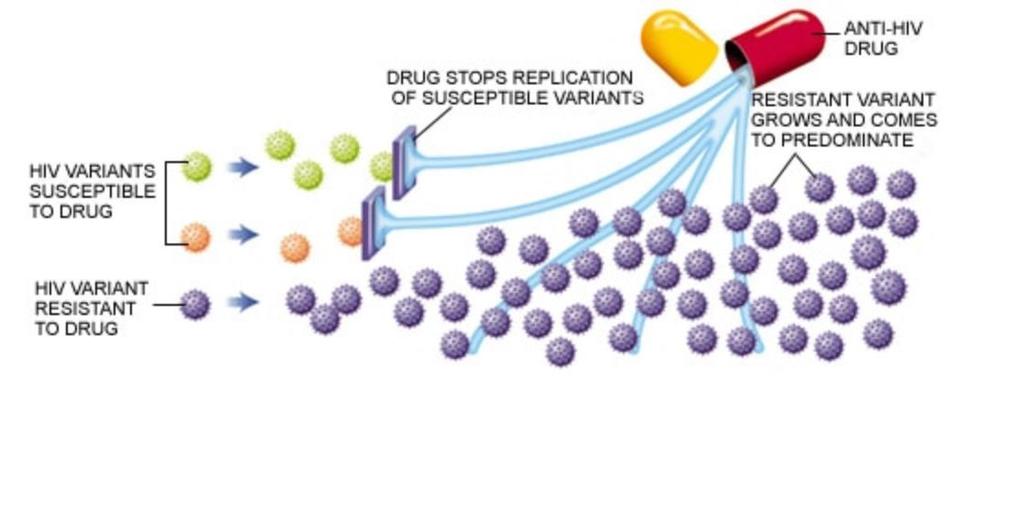 HIV DRUG RESISTANCE The presence of transmitted drug resistance to NNRTI or NRT increases