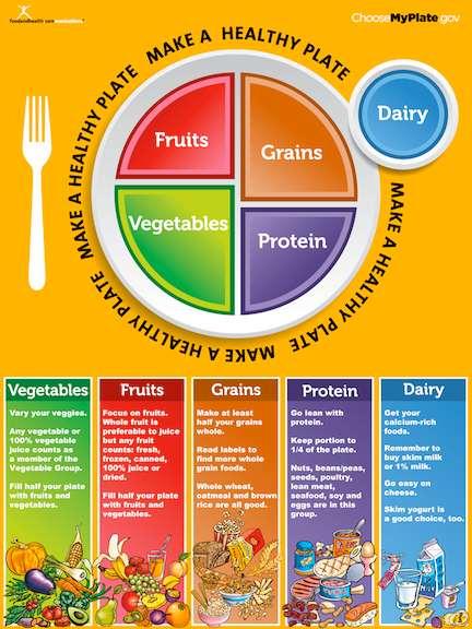 Nutrition Great meals look and taste good and