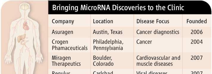 The commercial face of microrna