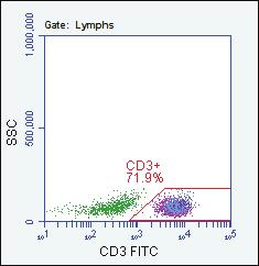 Panel D shows suppressor/cytotoxic (4 8 + ) and helper/inducer (4 + 8 ) T lymphocytes in the CD8 PE vs CD4 APC dot plot.