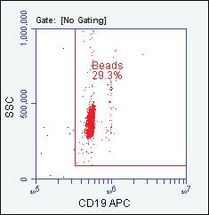 count bead events in the CD19 APC vs SSC dot plot. Panel C shows CD3 + T lymphocytes in the CD3 FITC vs SSC dot plot.