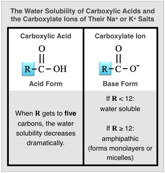 2) Neutralization: Reaction of a Carboxylic Acid and a Hydroxide Ion In a neutralization reaction, a carboxylic acid will react with a hydroxide-containing base compound to produce H 2 O and a