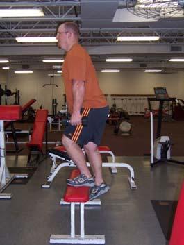 Lesson Lower Body Exercises Upper Leg By Carone Fitness Introduction There are many different exercises you can do to increase the strength of your lower body.