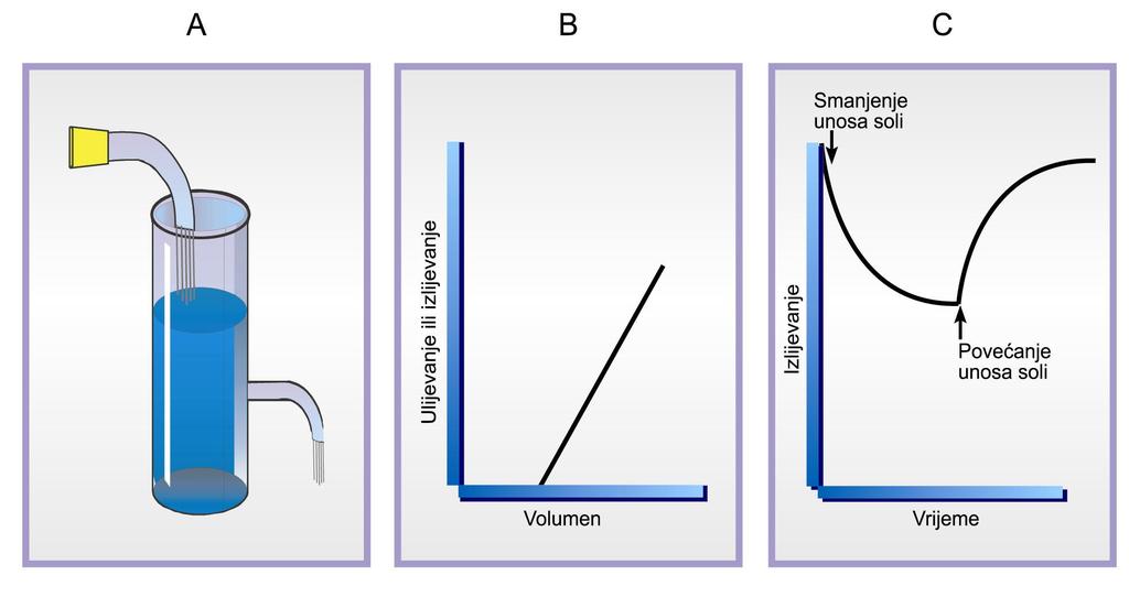 tijelu. Kod smanjenog ili povećanog unosa natrija hranom natriureza je eksponencijalno smanjena ili povećana, Slika 3.2-2. Slika 3.2 2. Hidrodinamički model održavanja ravnoteže soli u tijelu.
