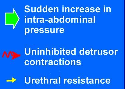 outlet - Decreased resistance - Increased abdominal pressure Abrams P, et al.