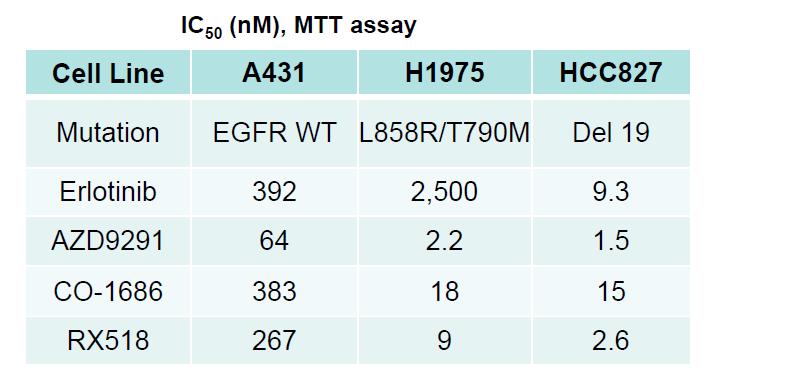 CK-101, 3 rd Generation EGFR Rationale Strong efficacy of CK-101 against cancer cells carrying T790M and Del19 EGFR mutations Vehicle Control CK-101, 60 mg/kg, ig, QD CK-101, 150 mg/kg, ig, QD