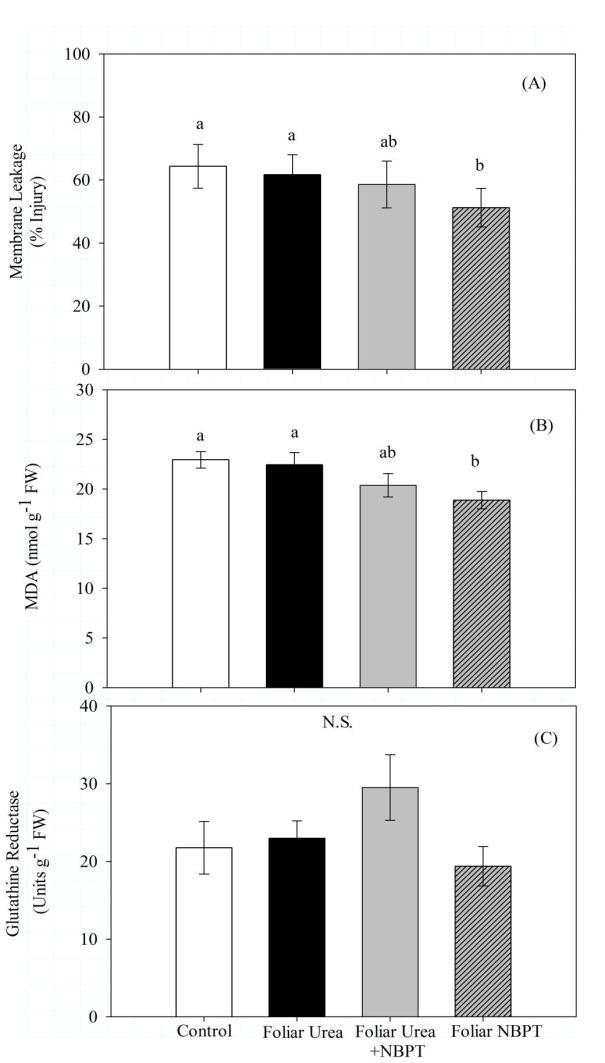 Figure 1: Effect of foliar treatments on membrane leakage (A), MDA (B), and glutathione