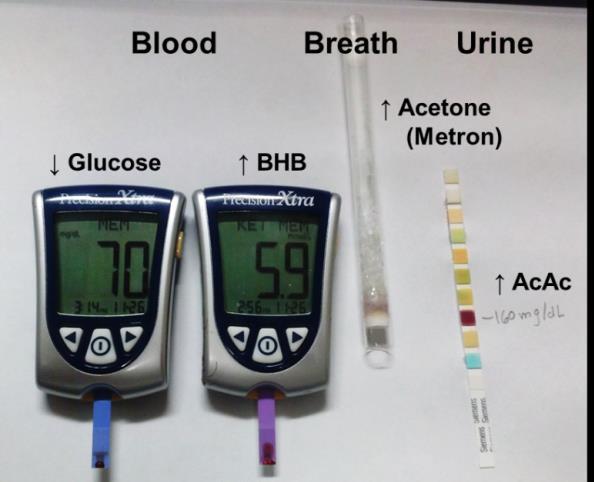 Exogenous Ketones Produce Rapid & Sustained Ketosis