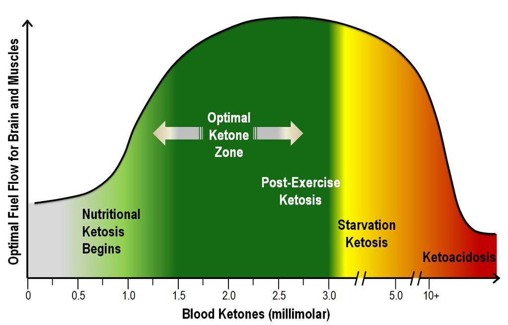 Nutritional Ketosis for Performance and Wellness Page 91: The Art and