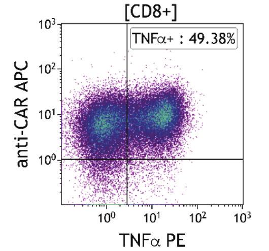 Example for adaption of the IF T Activation tube with anti-car-apc and CD107a-PC5.5 drop-in markers.
