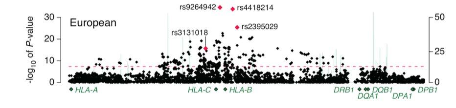 Multiple independent signals in the MHC