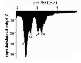 Emaitzak eta eztabaida basofiliko eta liseri-zelulen gainean ezarritako puntuak zenbatu ziren, Vv BAS Delesse printzipioaren arabera kalkulatuz (Weibel, 1979).