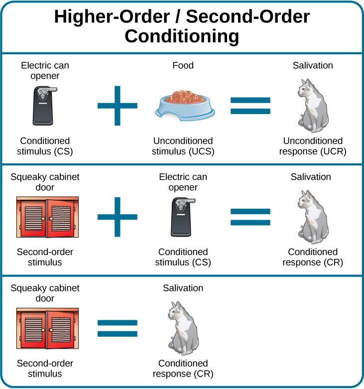 In higher-order conditioning, an established conditioned stimulus is
