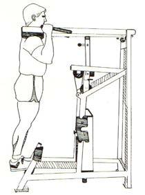 exercises Leg Press