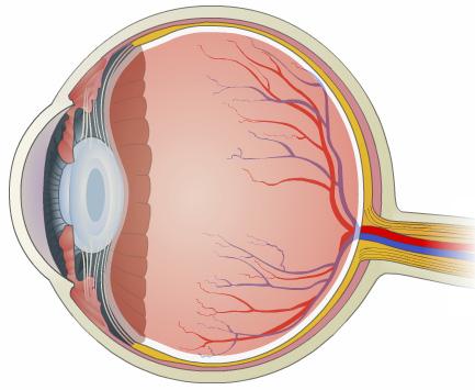 Cataract Surgery Introduction A cataract is a clouding of the eye s lens. Cataracts are a common eye condition that affect many people aged 65 or older.