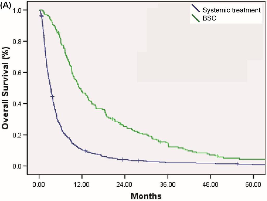 FIGURE 1 Overall survival (OS) by treatment type: systemic therapy compared with best supportive care (BSC) in (A) 2007 (median OS: 11.7 months with systemic therapy vs. 3.2 months with BSC, p < 0.