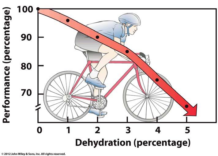 Dehydration & performance If a person loses 4% of their body weight as water during a competition, by what