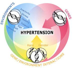 A long-term, or chronic, elevation of blood pressure is called HYPERTENSION Hypertension puts added