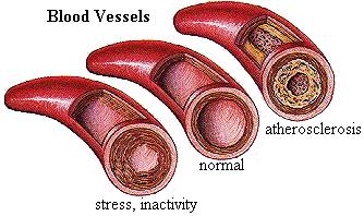The DIASTOLIC PRESSURE is the pressure in the large arteries when the ventricles of