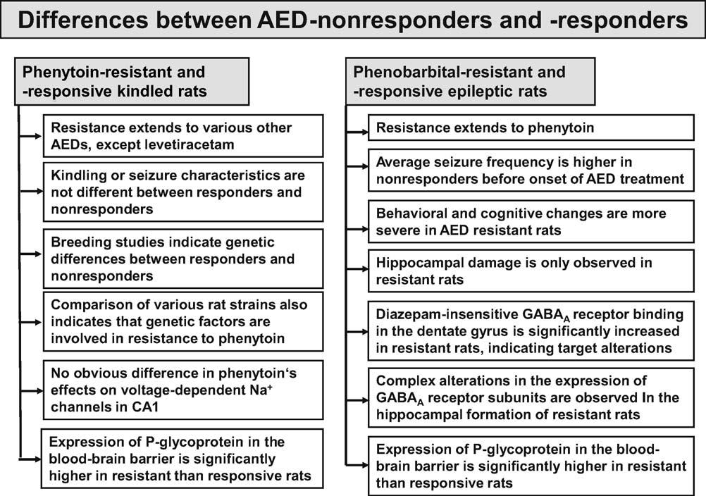 [()TD$FIG] W. Löscher / Seizure 20 (2011) 359 368 365 Fig. 6. Differences between AED-responders and nonresponders in animal models of drug-resistant epilepsy. For details see Löscher.