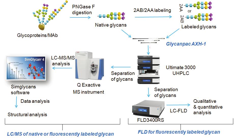 Overview Purpose: Development of a fully integrated workflow that combines novel column technology, mass spectrometry, and a bioinformatics tool for high-resolution separation and structural