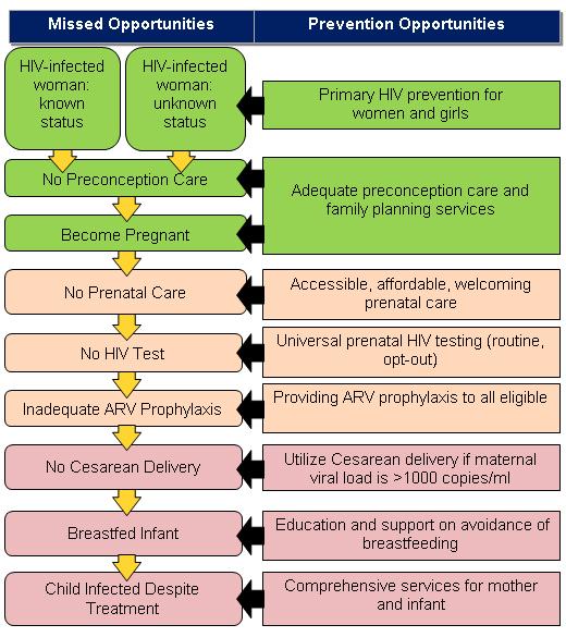 Framework for elimination of perinatal HIV transmission Framework