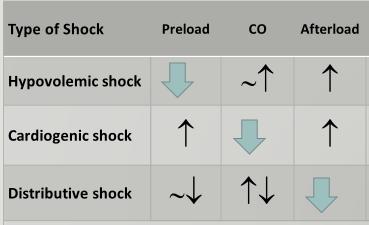 Treatment Reverse the cause(s) In a timely fashion Support and prevent further end organ damage Restore perfusion, reverse the physiology ICU: Fluid resuscitation: Crystalloid > colloid, Cardiogenic