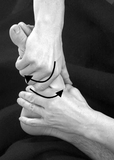 The hand that is nearest to the patient s knee is positioned so that the forearm lies on top of the tibia. The talus and ankle are stabilized by the hypothenar eminence and the weight of the arm.