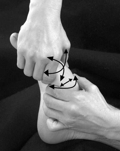 Pediatric Manual Medicine s0580 s0590 p1010 p1020 BALANCED LIGAMENTOUS TECHNIQUE Metatarsal Cuneiform Articulation Both the position and the function of the metatarsals are directly influenced by the