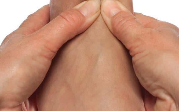 Ankle joint Place both index fingers on the medial and lateral malleoli and place both thumbs on the midline