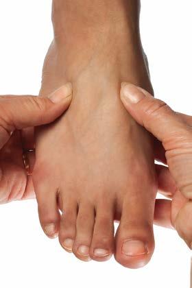 Mid tarsal From the ankle joint, move both thumbs down the midline of the foot to a point half way between the